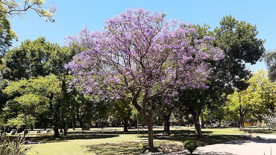 El equinoccio de primavera 2026 llega el martes 22 y no coincide con la fecha tradicional del 21